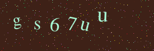 Validation image